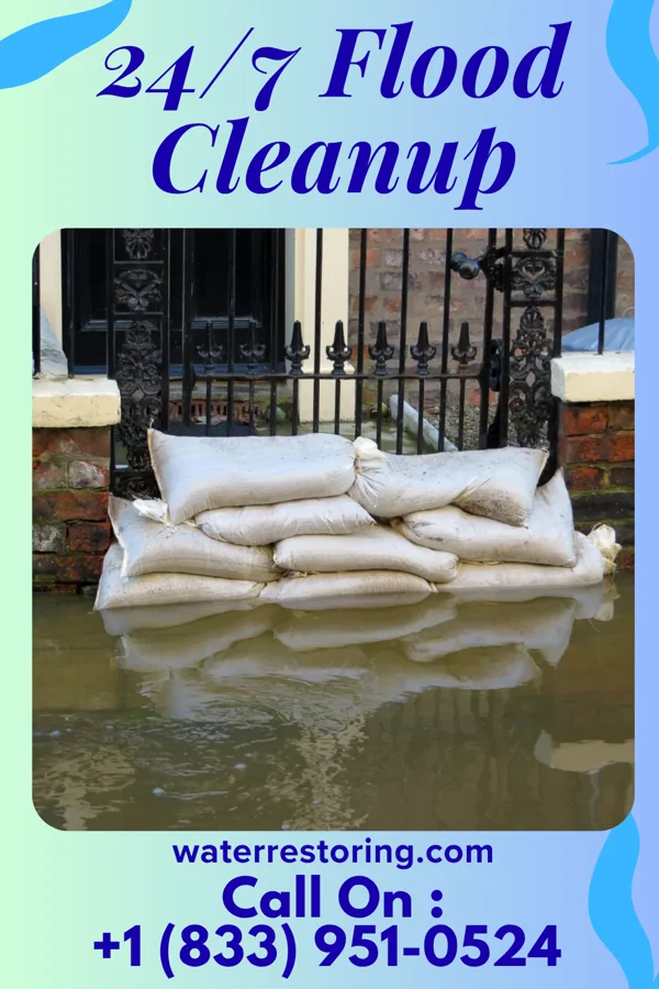 24/7 Flood Cleanup in Long Beach, IN