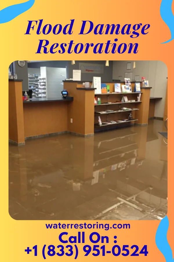 Flood Damage Restoration in Long Beach, IN