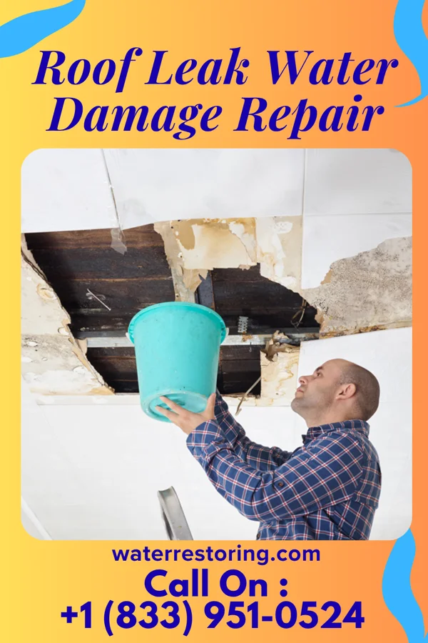 Roof Leak Water Damage Repair in Long Beach, IN