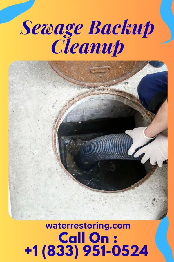 Sewage Backup Cleanup in Long Beach, IN