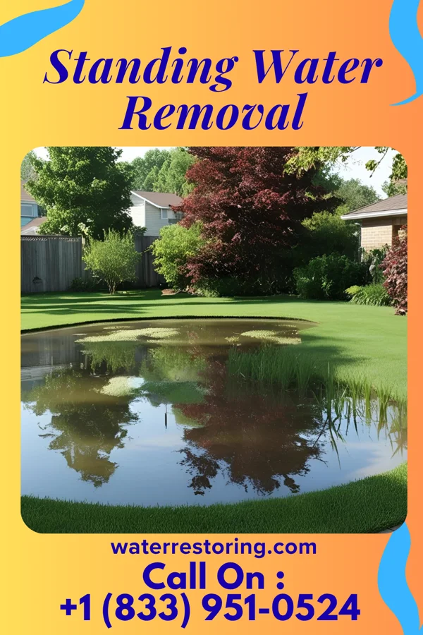 Standing Water Removal in Long Beach, IN